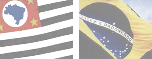 flags.jpg