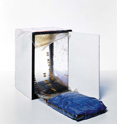 Hélio Oiticica Arte Hélio Oiticica Arte
